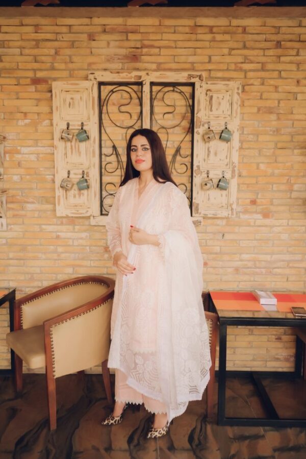Blush Pink Embroidered Lawn Suit with Dupatta